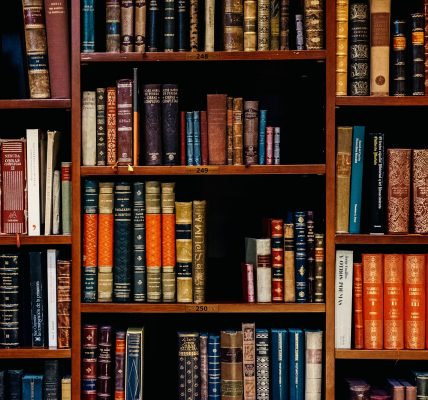Academia: library book shelves