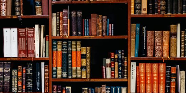 Academia: library book shelves
