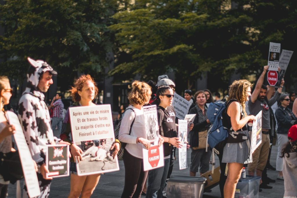 Activism in action. Protest march. Photo by David Larivière on Unsplash