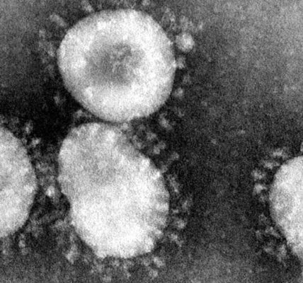 Coronavirus close-up