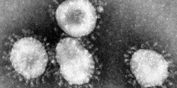 Coronavirus close-up